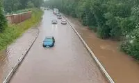 صحنه زیبایی که در میان حوادث دبی خلق شد