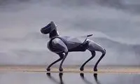 سگ رباتیک چینی‌ها وارد میدان شد