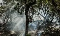 آتش‌سوزی در جنگل گلستان مهار شد