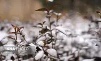 زمستان واقعی برای این استان‌ها از راه می‌‍رسد