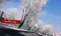 درختان این شهر یخ زد!