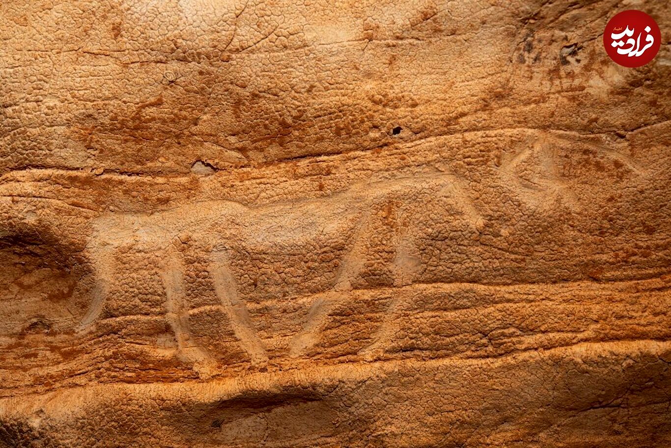 کشف غارنگاره‌های عجیب ۸هزار ساله در اسپانیا