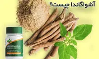 آشواگاندا چیست؟
