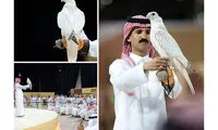 این پرنده با قیمت ۶۴ میلیارد تومان فروخته شد!