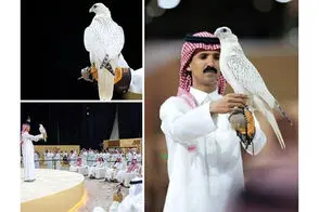 این پرنده با قیمت ۶۴ میلیارد تومان فروخته شد!