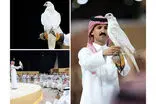این پرنده با قیمت ۶۴ میلیارد تومان فروخته شد!
