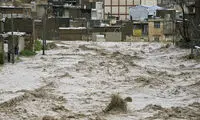 لحظه ورود وحشتناک تمساح بزرگ در سیل هند