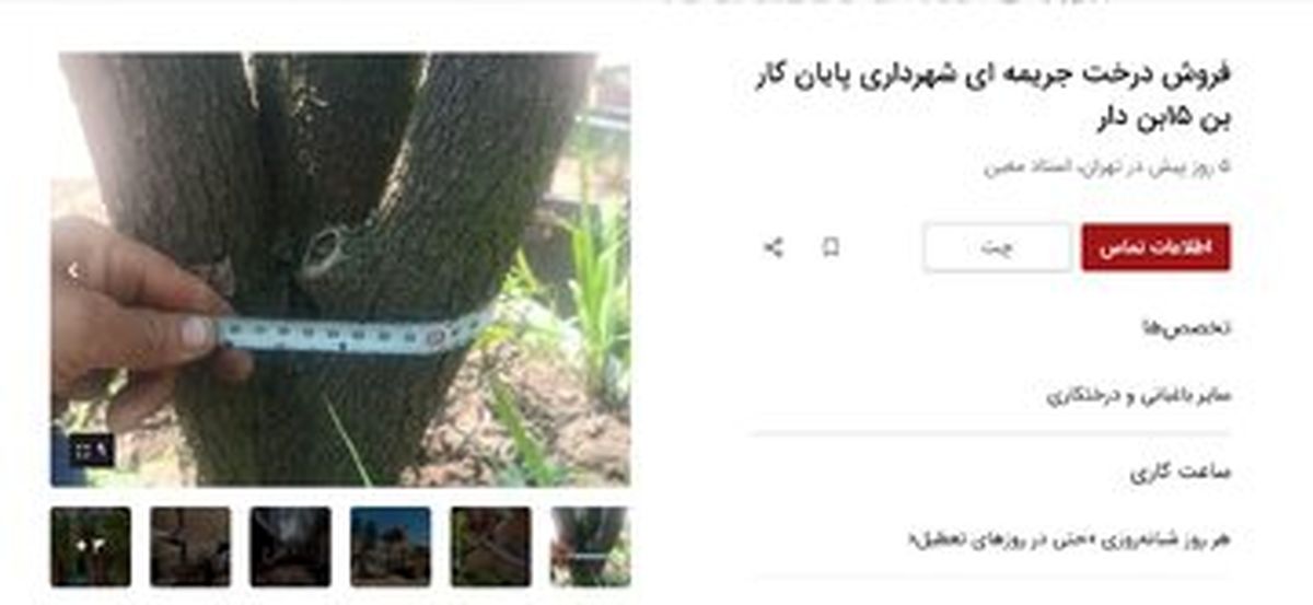 آگهیهایی عجیب در دیوار که باعث شوک شد!