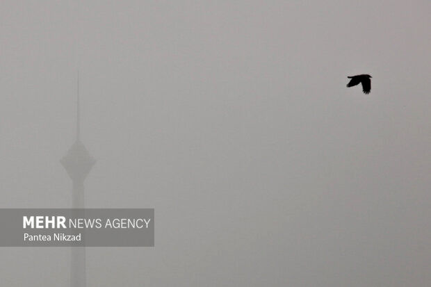 خبر منتشر شده مبنی بر آلودگی شدید هوای تهران