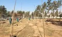 قطع و جایگزینی ۳۵ هزار اصله درخت در پارک سرخه حصار