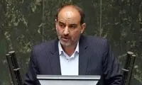 نماینده مجلس: گوشت را به گربه می‌دهیم اما...!