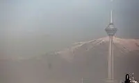 تشکری هاشمی: اوضاع آلودگی هوا شرم‌آور است!