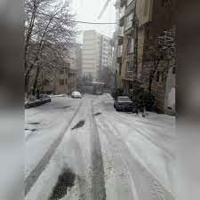 هم‌اکنون، بارش برف دلربا در نیاوران تهران