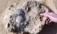 کشف تخم‌ ۴هزار ساله شترمرغ در اردوگاه باستانی