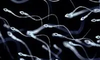 کشف راه‌حلی عجیب برای درمان ناباروری در مردان