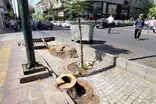 بلایی که بر سر ولیعصر و فلسطین آمده!