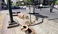 بلایی که بر سر ولیعصر و فلسطین آمده!
