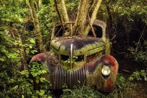 زیبایی وهم‌آلود خودروهایی که به تصرف طبیعت درآمده‌اند