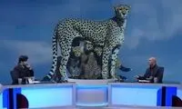 گاف بزرگ شبکه دو در پخش یک برنامه تلویزیونی