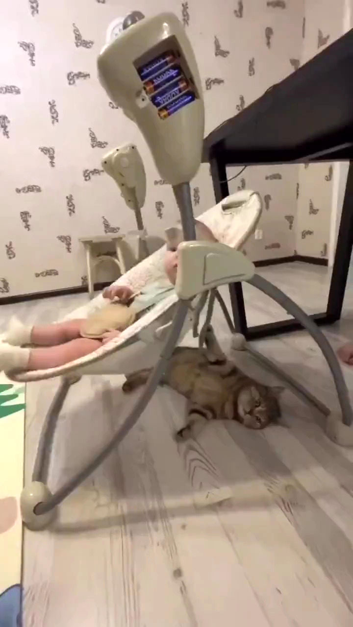 تلاش باورنکردنی یک گربه برای خواباندن نوزاد انسان!