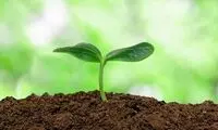 ببینید؛ برای ما یک ثانیه، برای او ۴۵۰ سال!