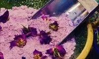 این خوراکی سنتی و پرخاصیت، پایِ ثابت نوروز است