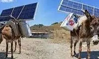 ابتکار یک شهروند برای شارژ تلفن همراه به کمک یک الاغ