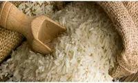 برنج ارزان می‌شود؟