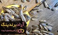 ۱۰ ایده به ظاهر احمقانه‌ای که صاحبانشان را ثروتمند کرد