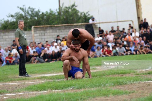 مسابقاتی که برنده‌اش گوسفند جایزه گرفت!