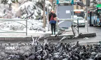 آیا موج سرمای شدید به ایران برمی‌گردد؟