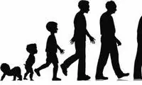 تمام زندگی در این عکس و این لحظه خلاصه شده است