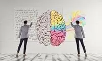  آیا راست مغزی و چپ مغزی حقیقت دارد؟
