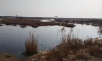 تالاب صالحیه خشک شد!