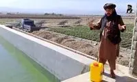 نقشه شومی که طالبان برای مشهد در سر دارد!
