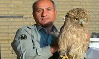 قاتل محیط بان «خائیز» شناسایی شد