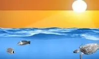 پیامد‌های وحشتناک گرم شدن بی‌امان اقیانوس‌ها