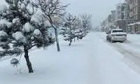 تصاویر دلبر از حال و هوای برفی در نیاوران تهران