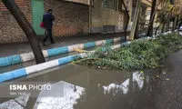 صدور هشدار بارش برای تهران طی امروز