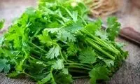 با خواص شگفت‌انگیز جعفری آشنا شوید
