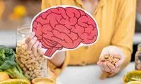 مغز خود را با کدام خوراکی سالم و تازه کنیم؟