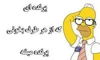چیستان : یک پرنده بگو که از هر طرف بخونی پرنده میشه