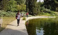 جنجال برج‌سازی روی سبزترین نقطه تهران 