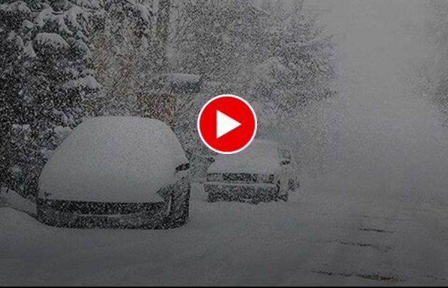 بارش برف تهران را سفیدپوش کرد