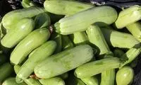 یک خوردنی کم‌کالری برای کاهش نفخ