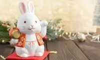 طالع‌بینی سال خرگوش؛ ۲۰۲۳ چگونه سالی خواهد بود؟