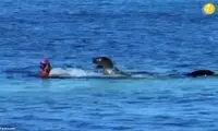  حمله وحشتناک فُک مادر به شناگر زن