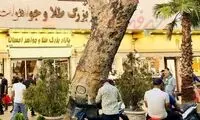چرا درخت کهنسال خیابان ۱۵ خرداد قطع شد؟