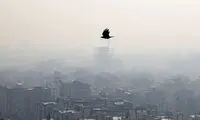 بهترین شغل دنیا در ایران!