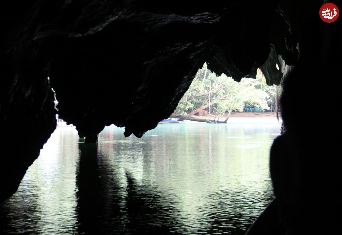 کشف جانور عجیب «تک‌شاخ» در یک غار آبی 